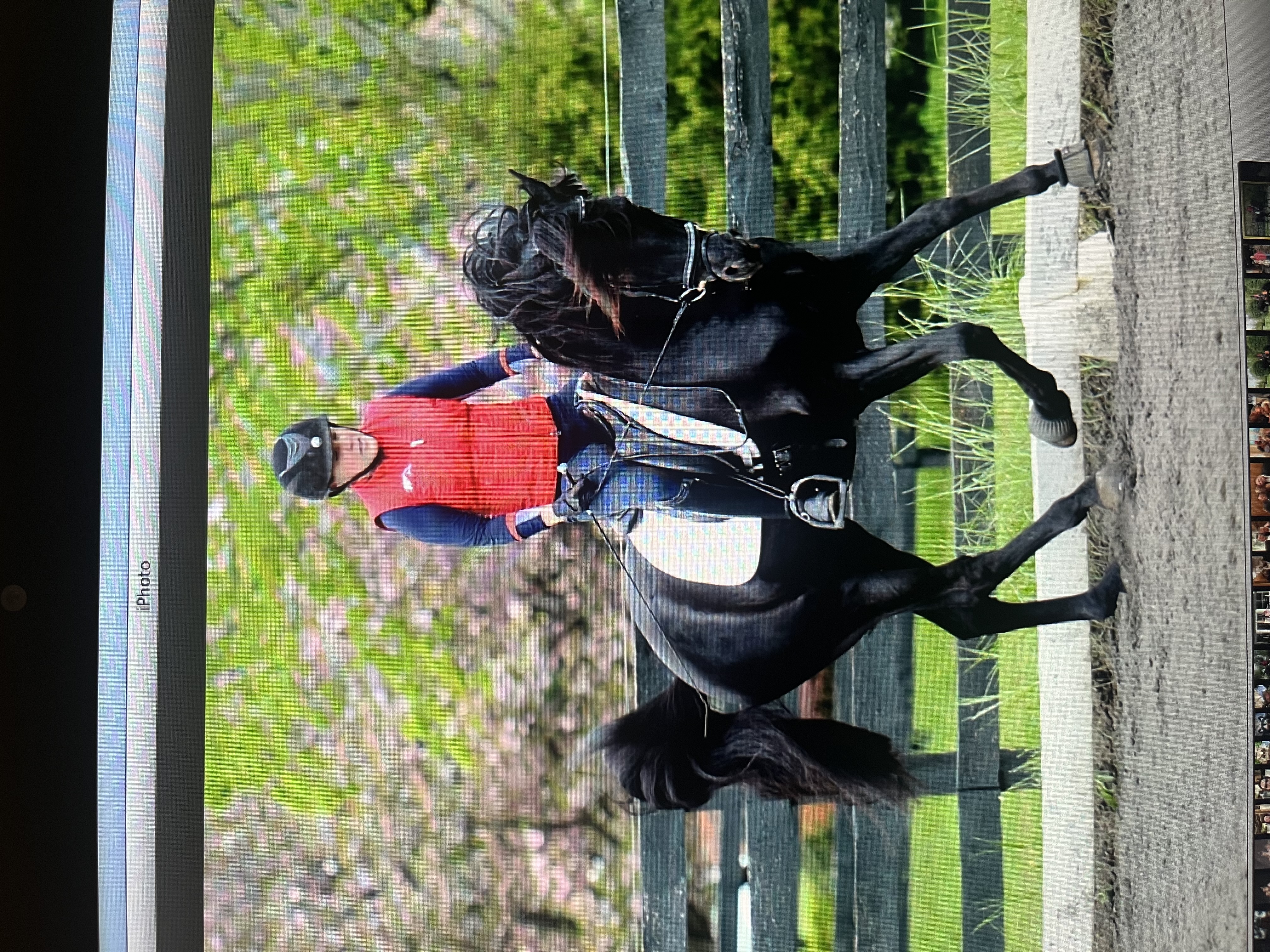 Riding Horseback
