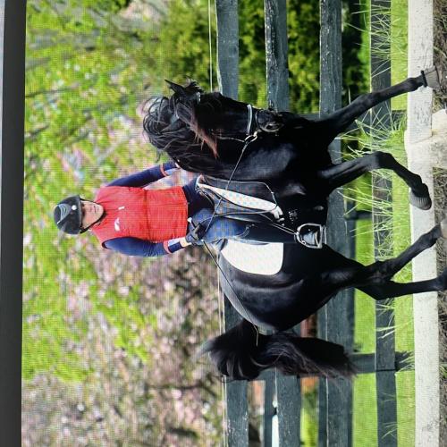 Riding Horseback