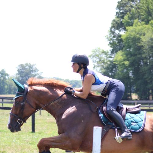 Riding Horse